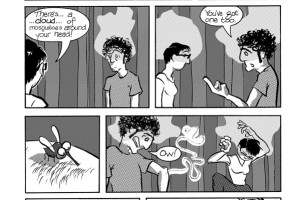 mosquitoes