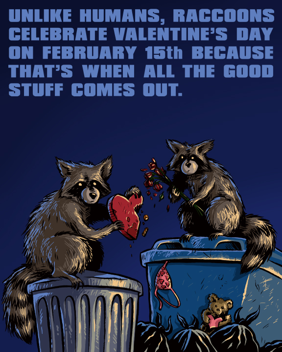 Raccoon_Valentine