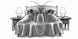 mccarthy_politics_01