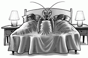 mccarthy_politics_01